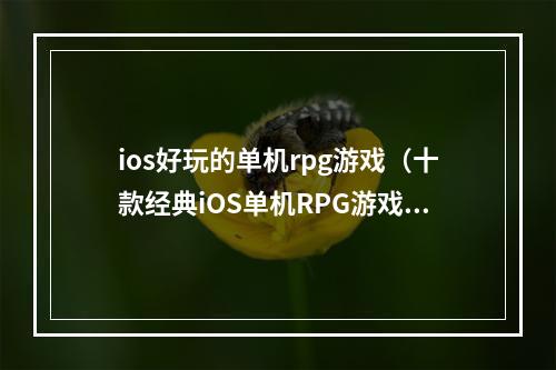 ios好玩的单机rpg游戏（十款经典iOS单机RPG游戏，让你沉浸在惊险刺激的世界里）