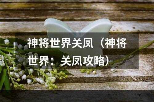 神将世界关凤（神将世界：关凤攻略）