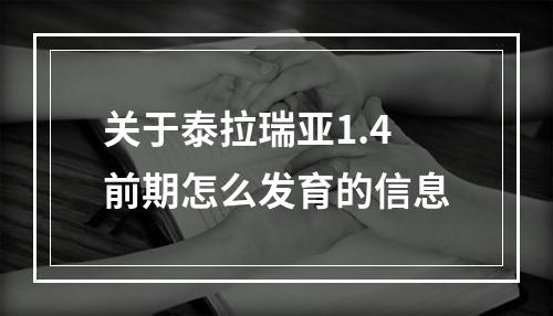 关于泰拉瑞亚1.4前期怎么发育的信息