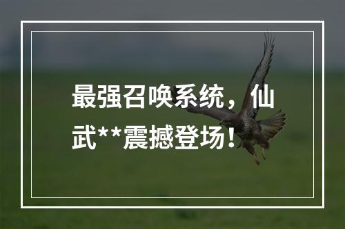 最强召唤系统，仙武**震撼登场！