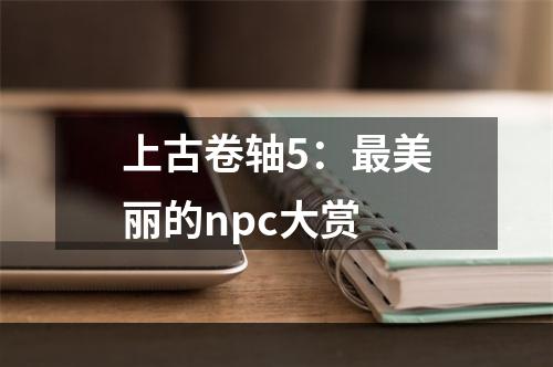 上古卷轴5：最美丽的npc大赏