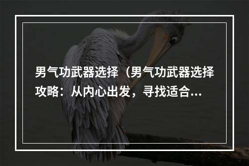 男气功武器选择（男气功武器选择攻略：从内心出发，寻找适合你的气功道具）