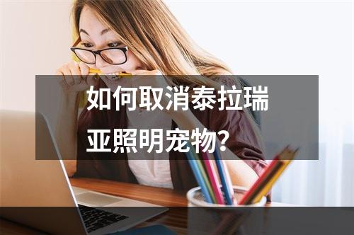 如何取消泰拉瑞亚照明宠物？