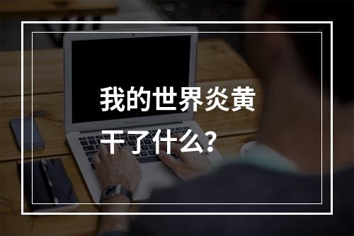 我的世界炎黄干了什么？