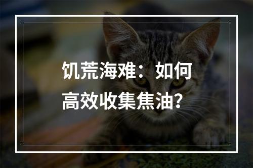 饥荒海难：如何高效收集焦油？