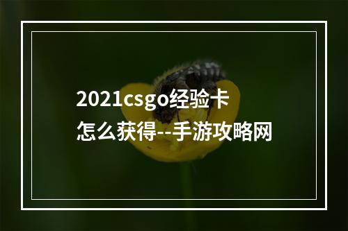 2021csgo经验卡怎么获得--手游攻略网