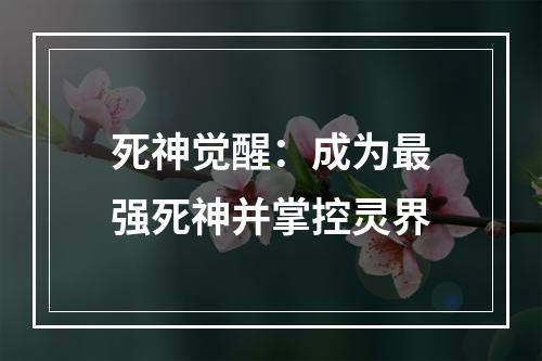 死神觉醒：成为最强死神并掌控灵界