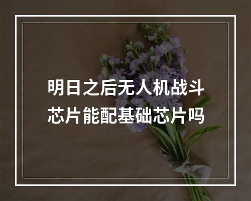 明日之后无人机战斗芯片能配基础芯片吗