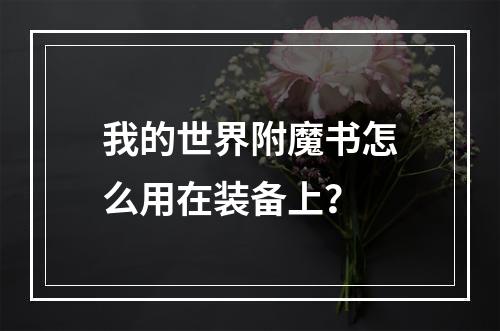 我的世界附魔书怎么用在装备上？