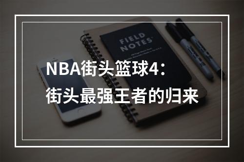 NBA街头篮球4：街头最强王者的归来