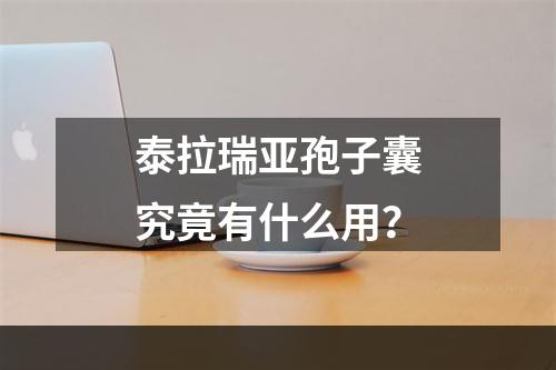 泰拉瑞亚孢子囊究竟有什么用？