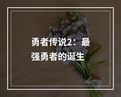 勇者传说2：最强勇者的诞生