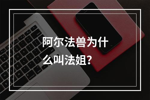 阿尔法兽为什么叫法姐？