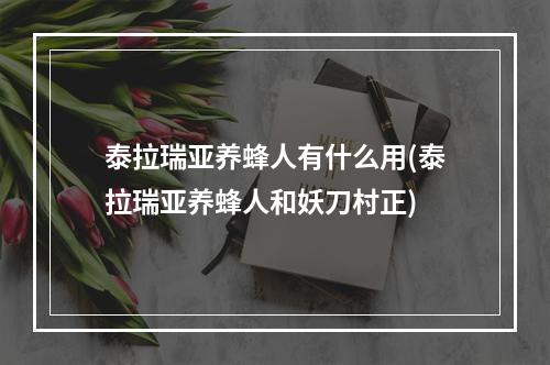 泰拉瑞亚养蜂人有什么用(泰拉瑞亚养蜂人和妖刀村正)