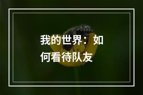 我的世界：如何看待队友