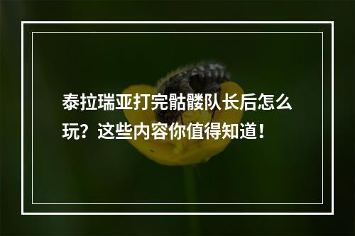 泰拉瑞亚打完骷髅队长后怎么玩？这些内容你值得知道！