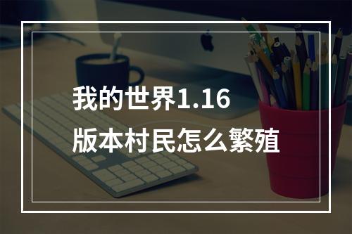 我的世界1.16版本村民怎么繁殖