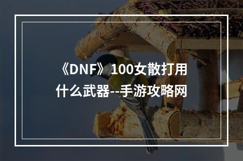 《DNF》100女散打用什么武器--手游攻略网