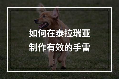 如何在泰拉瑞亚制作有效的手雷