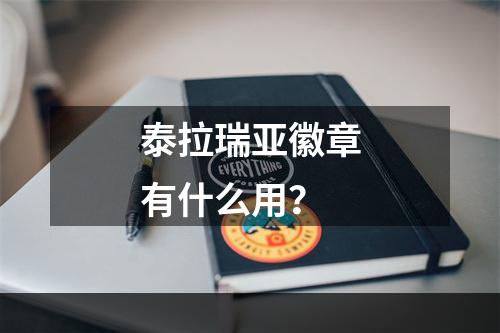 泰拉瑞亚徽章有什么用？