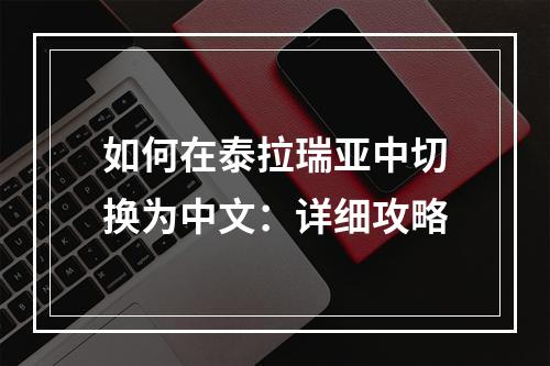 如何在泰拉瑞亚中切换为中文：详细攻略