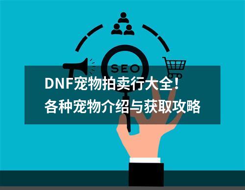 DNF宠物拍卖行大全！各种宠物介绍与获取攻略