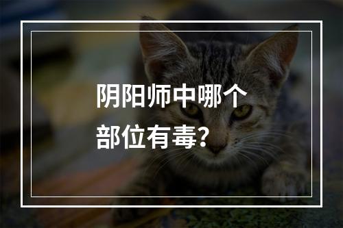 阴阳师中哪个部位有毒？