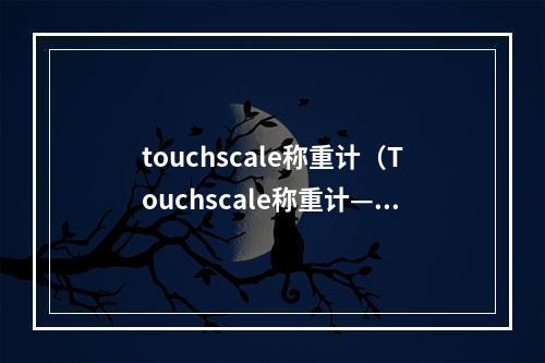 touchscale称重计（Touchscale称重计——轻松计算你的物品重量）