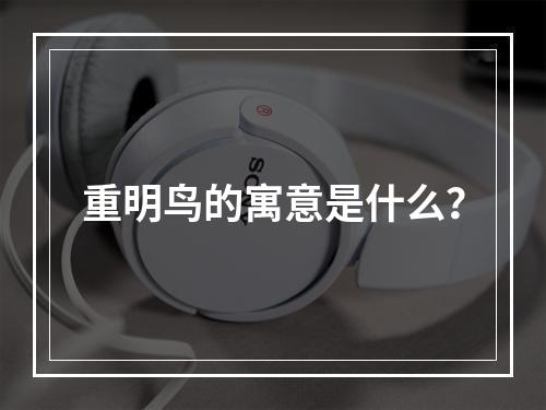 重明鸟的寓意是什么？