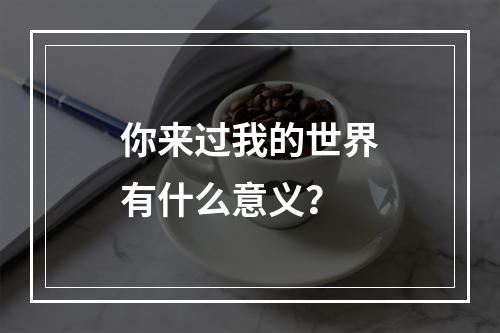 你来过我的世界有什么意义？