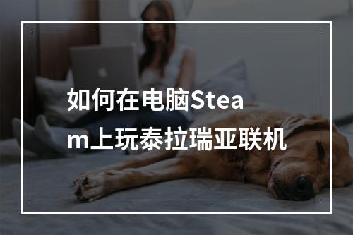 如何在电脑Steam上玩泰拉瑞亚联机