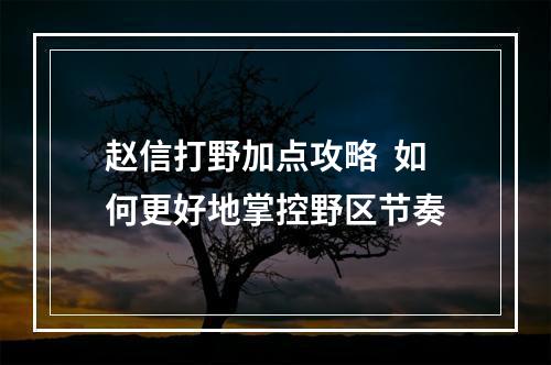 赵信打野加点攻略  如何更好地掌控野区节奏