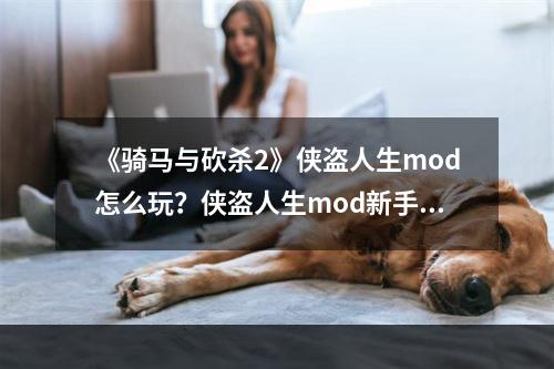 《骑马与砍杀2》侠盗人生mod怎么玩？侠盗人生mod新手玩法分享--手游攻略网