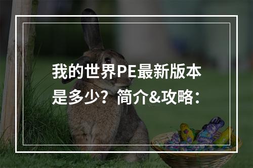 我的世界PE最新版本是多少？简介&攻略：