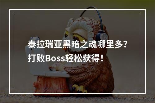 泰拉瑞亚黑暗之魂哪里多？打败Boss轻松获得！