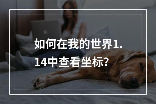 如何在我的世界1.14中查看坐标？