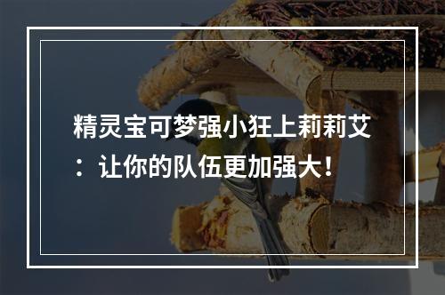 精灵宝可梦强小狂上莉莉艾：让你的队伍更加强大！