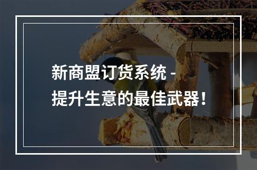 新商盟订货系统 - 提升生意的最佳武器！