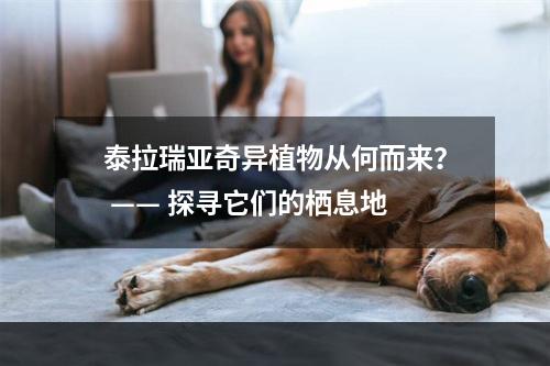 泰拉瑞亚奇异植物从何而来？ —— 探寻它们的栖息地