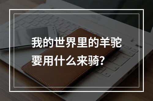 我的世界里的羊驼要用什么来骑？