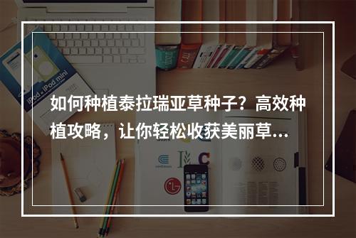 如何种植泰拉瑞亚草种子？高效种植攻略，让你轻松收获美丽草坪