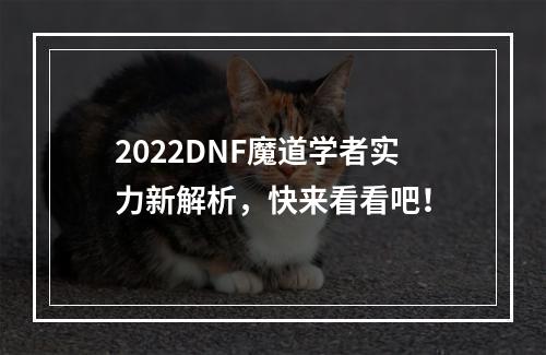 2022DNF魔道学者实力新解析，快来看看吧！