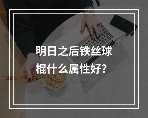 明日之后铁丝球棍什么属性好？