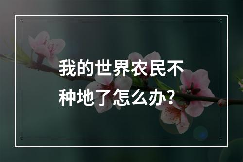 我的世界农民不种地了怎么办？