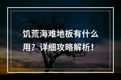 饥荒海难地板有什么用？详细攻略解析！