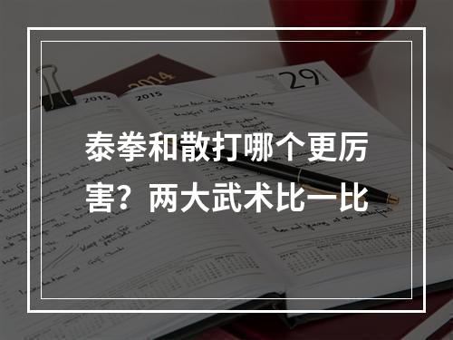 泰拳和散打哪个更厉害？两大武术比一比