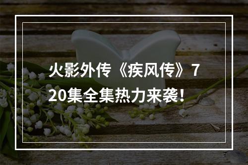 火影外传《疾风传》720集全集热力来袭！