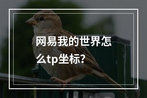 网易我的世界怎么tp坐标？