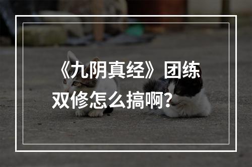 《九阴真经》团练双修怎么搞啊？