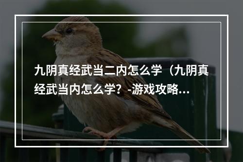 九阴真经武当二内怎么学（九阴真经武当内怎么学？-游戏攻略）